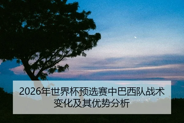 nian-shi-jie-bei-yu-xuan-sai-zhong-ba-xi-dui-zhan-shu-bian-hua-ji-qi-you-shi-fen-xi-2-728.jpg