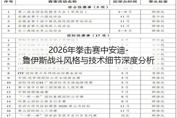 2026年拳击赛中安迪-鲁伊斯战斗风格与技术细节深度分析