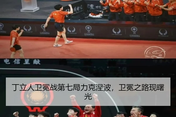ding-li-ren-wei-mian-zhan-di-qi-ju-li-ke-nie-bo-wei-mian-zhi-lu-xian-shu-guang-3-336.jpg