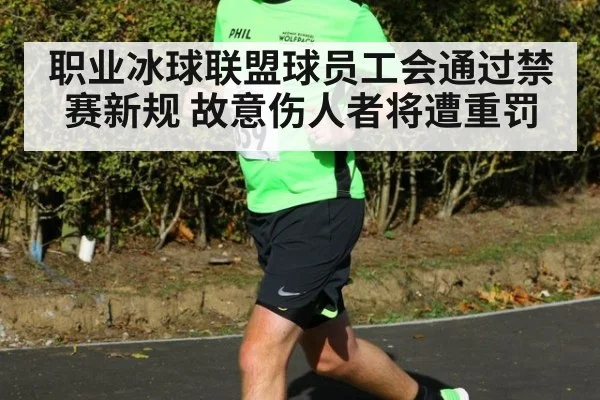 职业冰球联盟球员工会通过禁赛新规 故意伤人者将遭重罚
