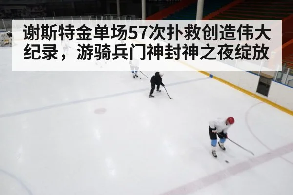 ice hockey game